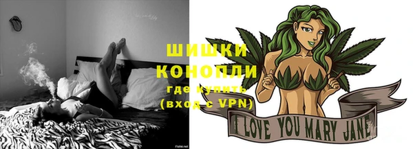 ГАЛЛЮЦИНОГЕННЫЕ ГРИБЫ Нея