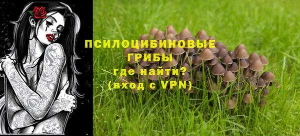 мяу мяу мука Снежинск