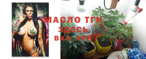 индика Нефтекумск